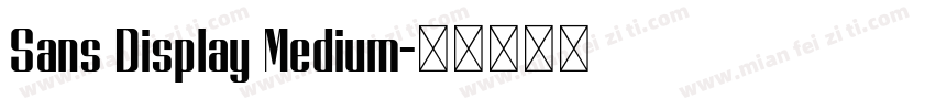 Sans Display Medium字体转换